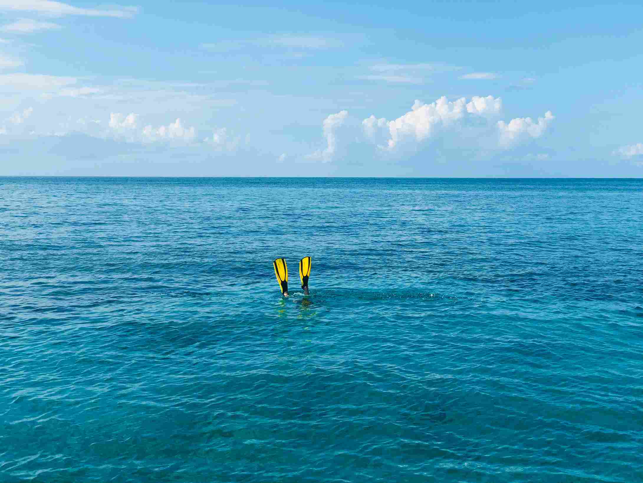 Ein Mensch mit Flossen im r´taucht im Meer
