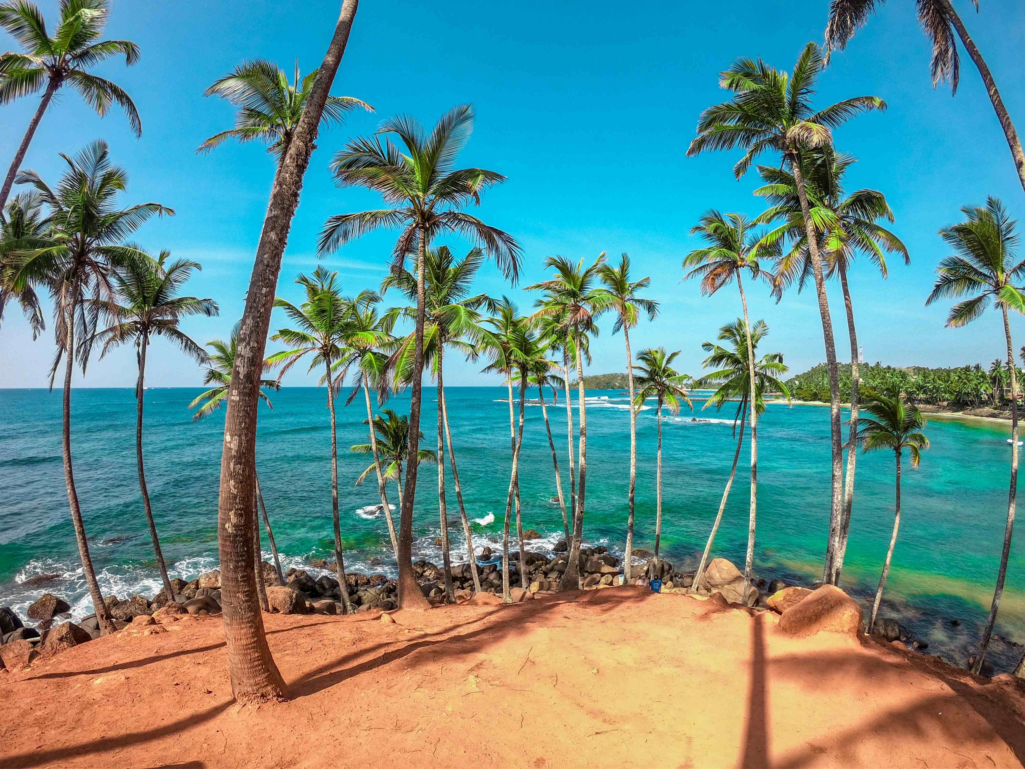 sri-lanka-bucketlist Eine tropische Bucht mit Palmen