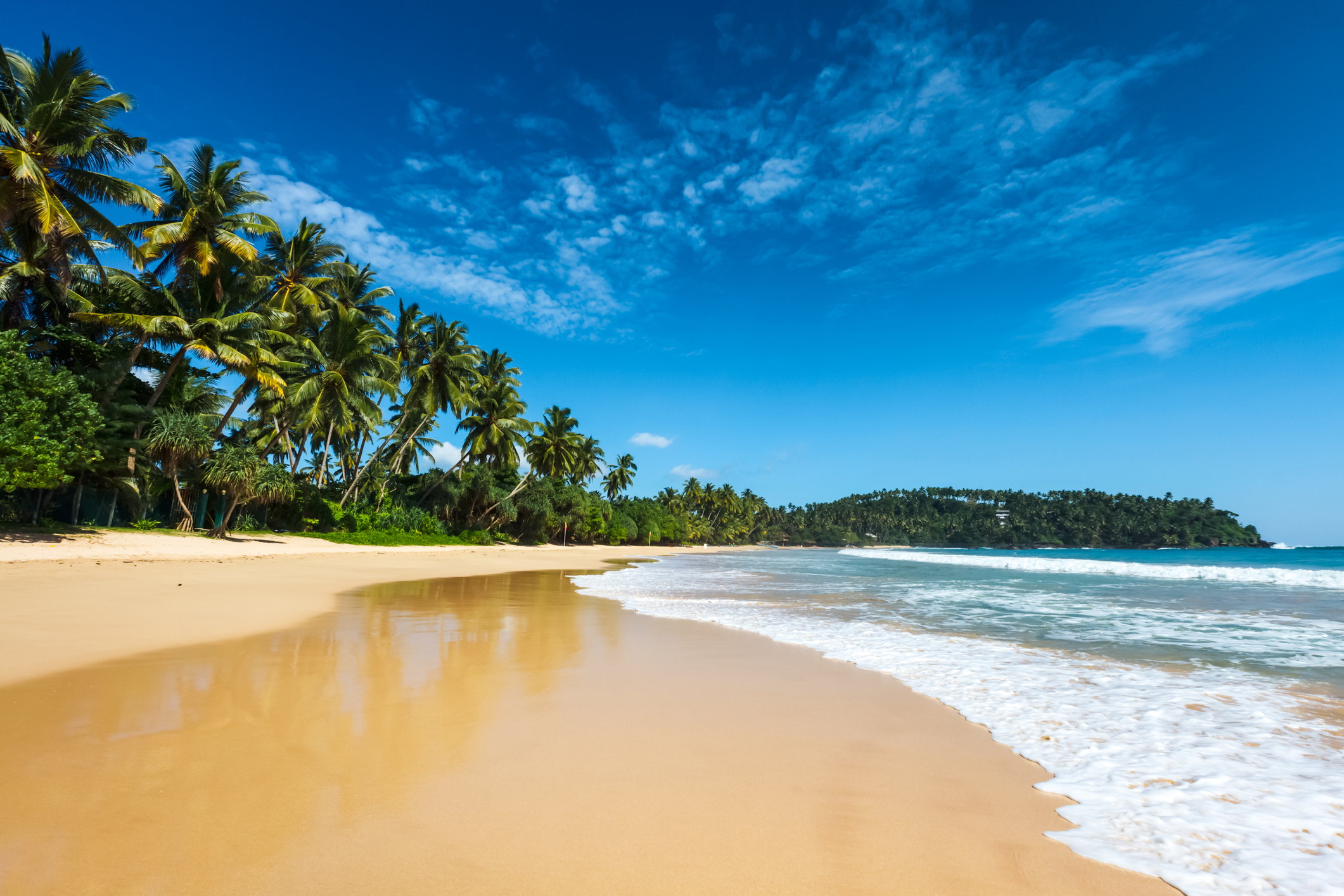 Goldgelber feinsandiger Strand mit Palmen und blauem Himmel