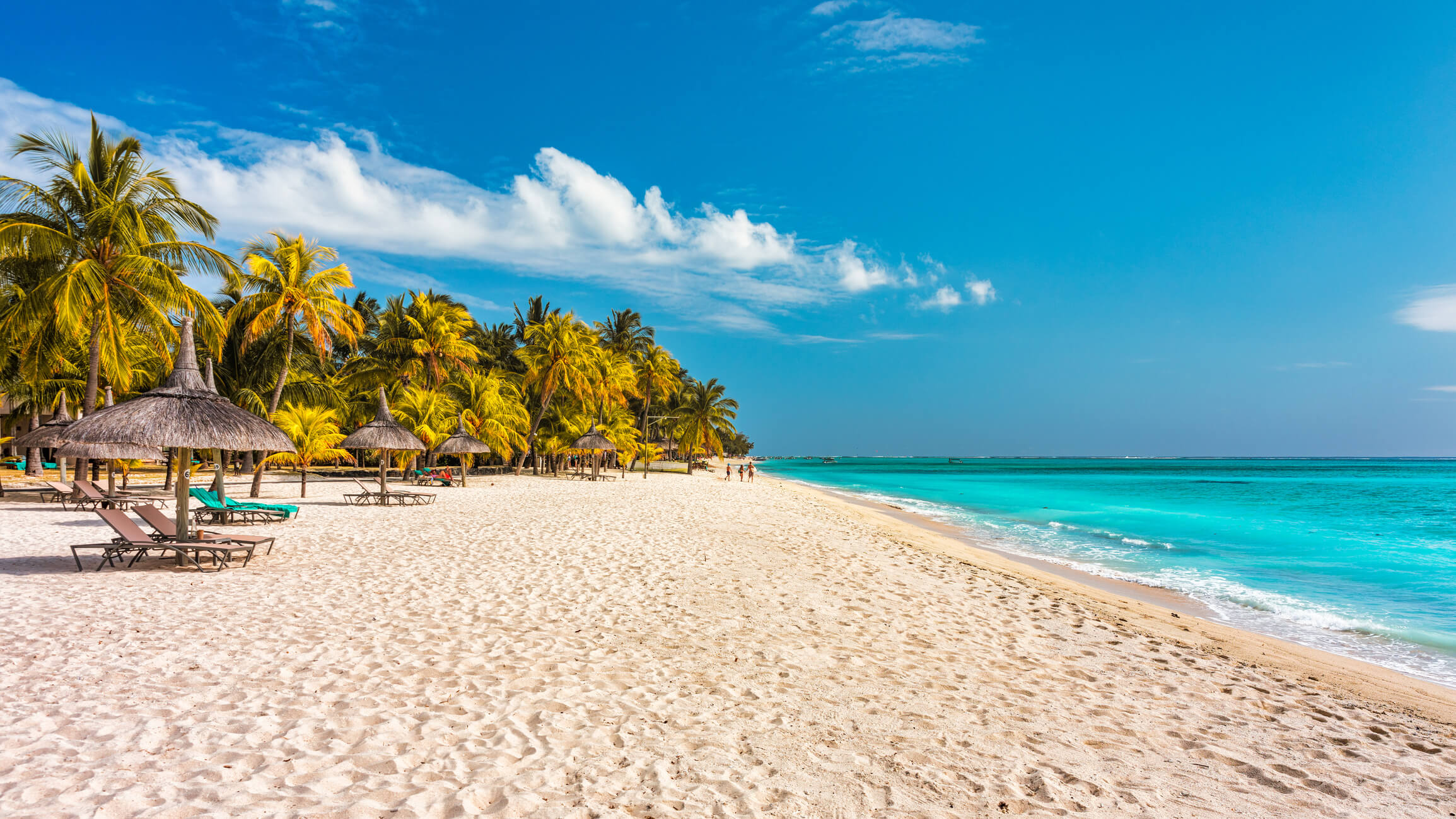 Urlaub im April Aprilurlaub am feinsandigen Palmenstrand