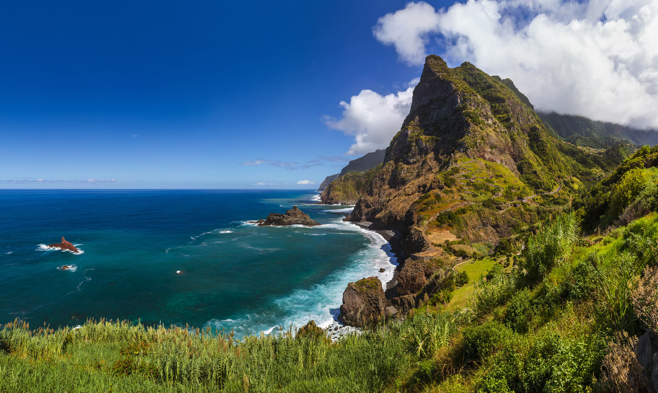 Grüne steile Berge mit schroffen Felsen direkt am Meer