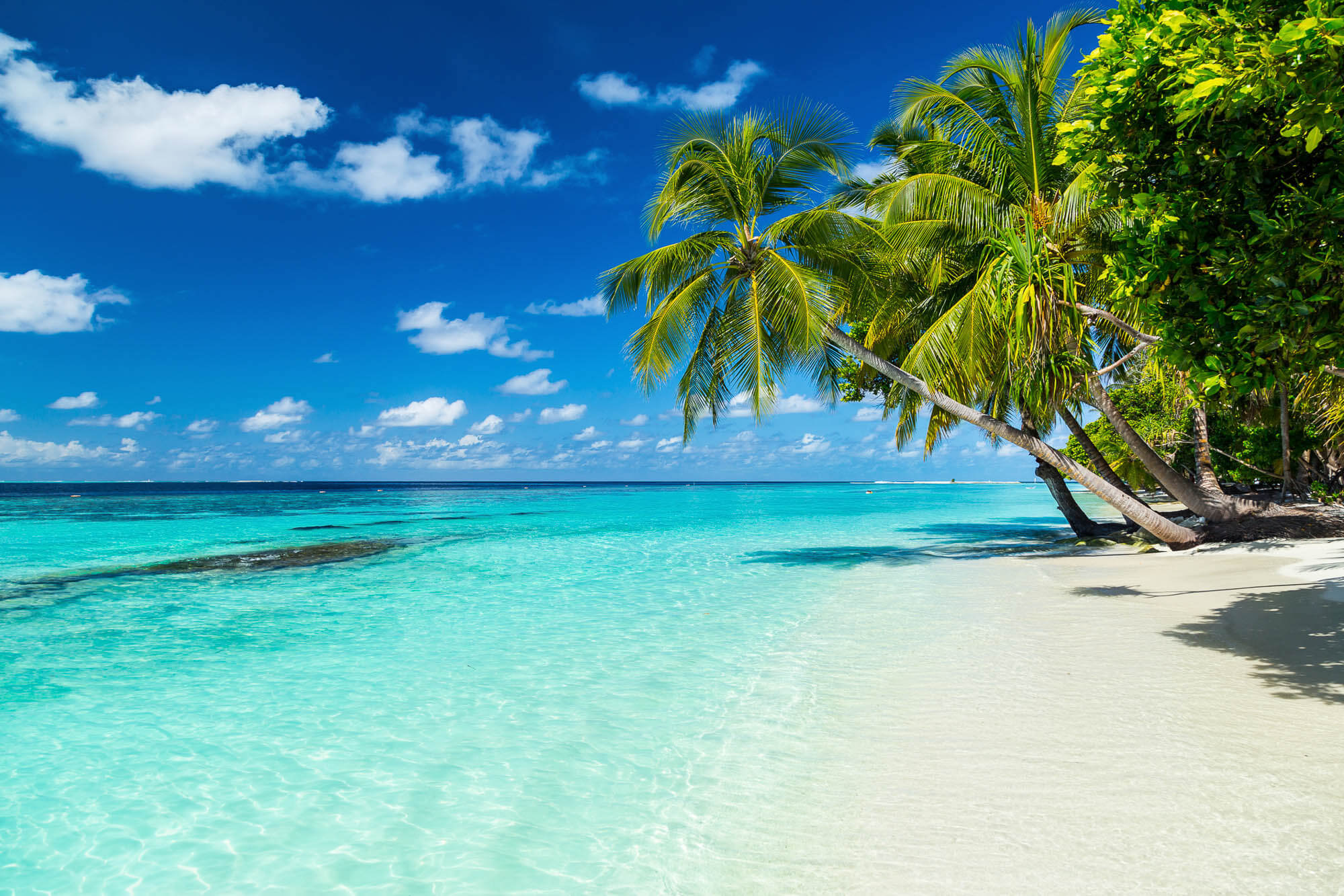 Urlaub und Reisen im direkten Preisvergleich Reisen ist Besonders Billiger Urlaub am Traumstrand mit Reisen ist Besonders